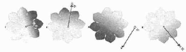    CorelXARA