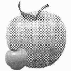 Corel Xara 2.0
