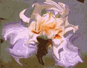 Учебник по Corel Painter 8.0