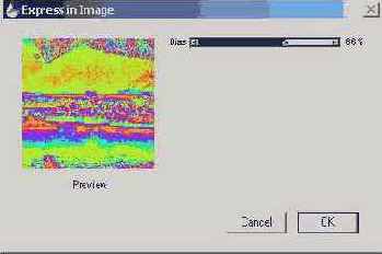   Corel Painter 8.0
