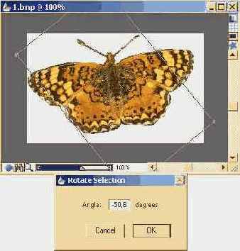 Учебник по Corel Painter 8.0