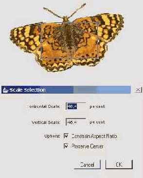 Учебник по Corel Painter 8.0