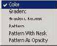   Corel Painter 8.0
