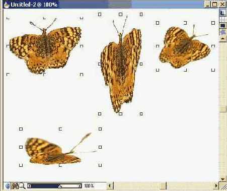 Учебник по Corel Painter 8.0