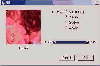   Corel Painter 8.0
