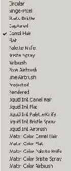   Corel Painter 8.0
