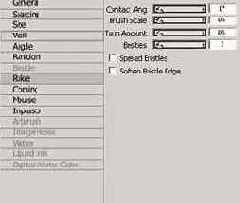   Corel Painter 8.0
