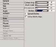   Corel Painter 8.0
