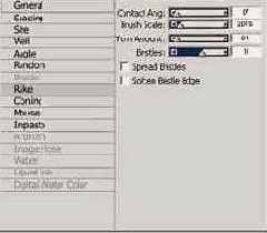   Corel Painter 8.0
