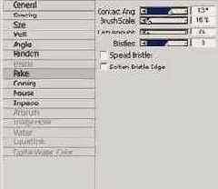   Corel Painter 8.0
