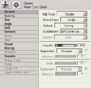   Corel Painter 8.0
