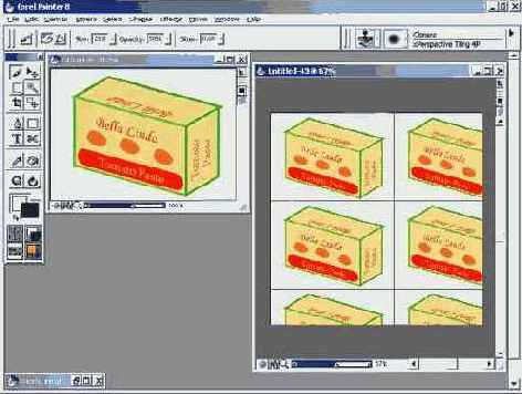   Corel Painter 8.0
