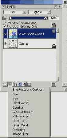   Corel Painter 8.0

