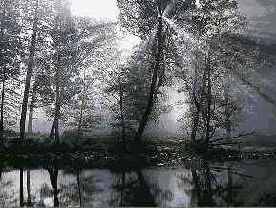 Учебник по Corel Painter 8.0