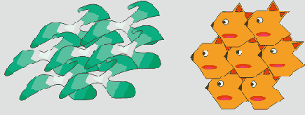    CorelDRAW 12
