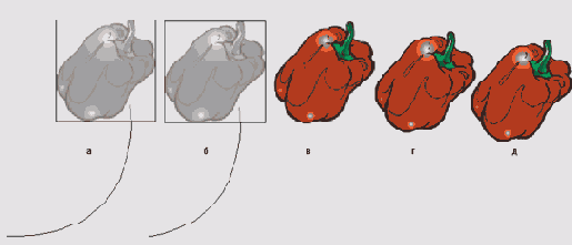    CorelDRAW 12
