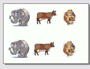    CorelDRAW 12
