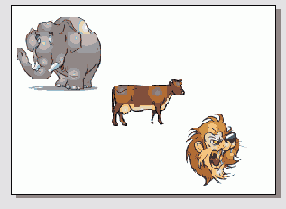   CorelDRAW 12
