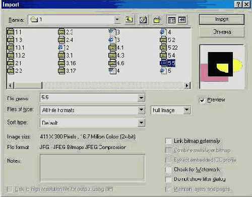   Corel Draw 10
