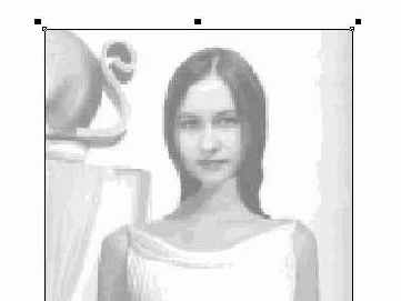   Corel Draw 10
