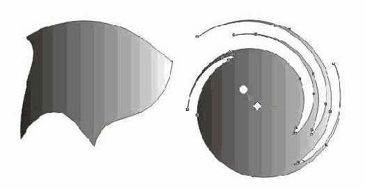   Corel Draw 10
