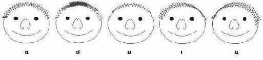    CorelDRAW 12
