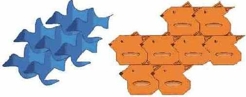    CorelDRAW 12

