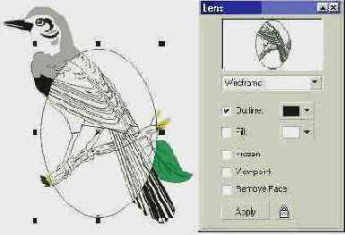    CorelDRAW 12
