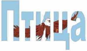   CorelDRAW 12
