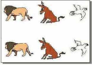    CorelDRAW 12
