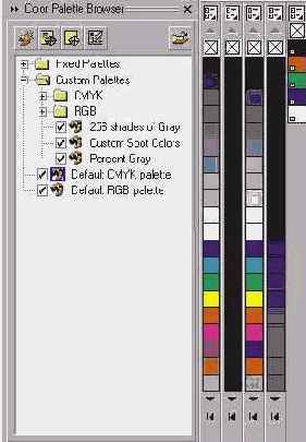 C  Corel Draw 10