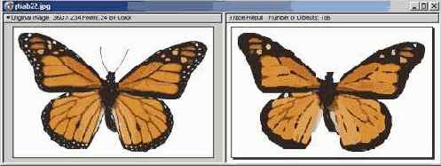 C  Corel Draw 10