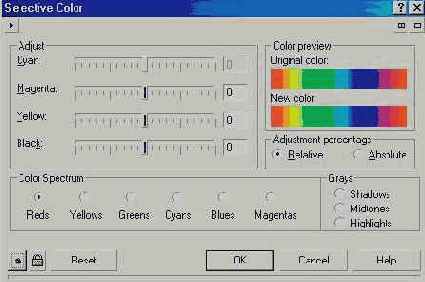 C  Corel Draw 10