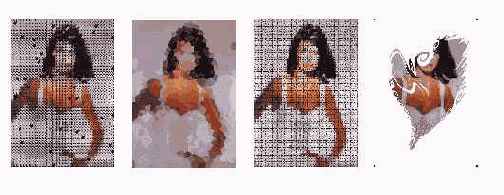 C  Corel Draw 10