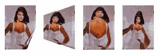 C  Corel Draw 10