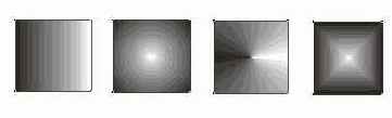 C  Corel Draw 10