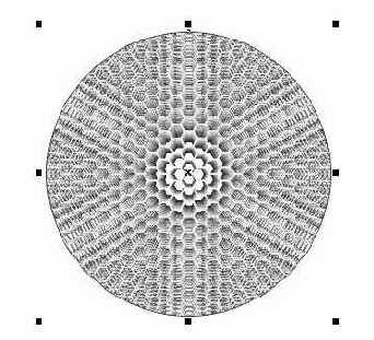 C  Corel Draw 10