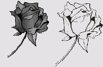    CorelDRAW 12
