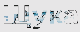    CorelDRAW 12
